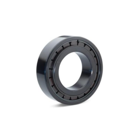 ROLLING-ELEMENT BEARING